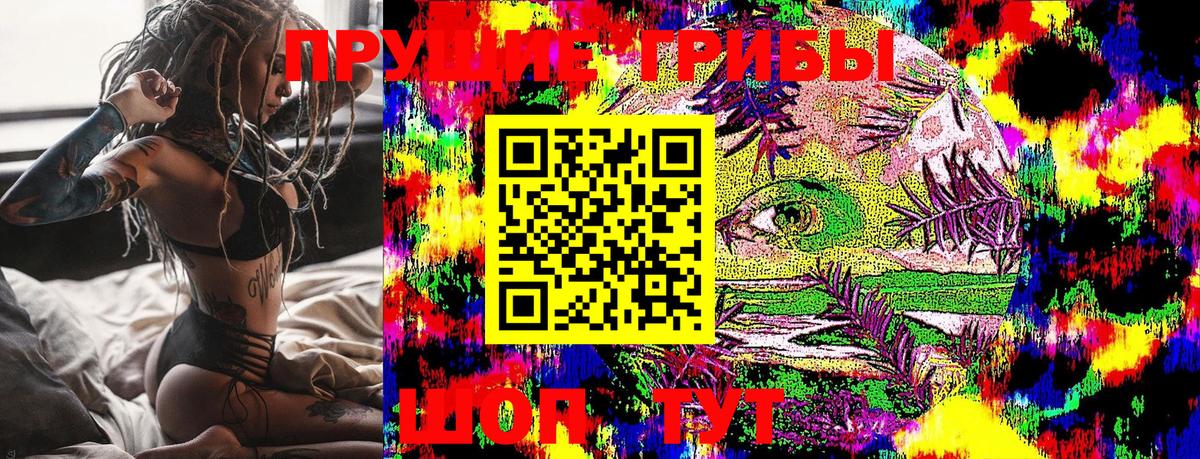 Псилоцибиновые грибы Cubensis Гулькевичи